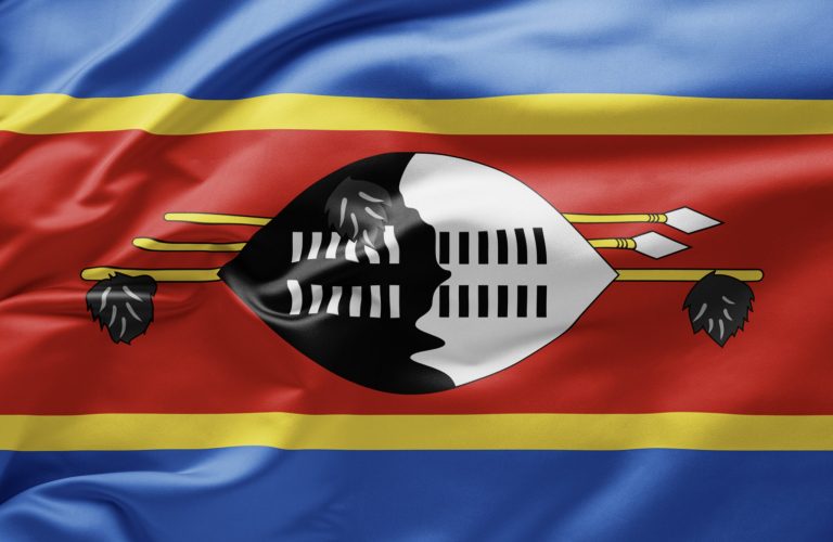Regulatory Vacuum in Eswatini Social Work: Challenges and Pathways Forward